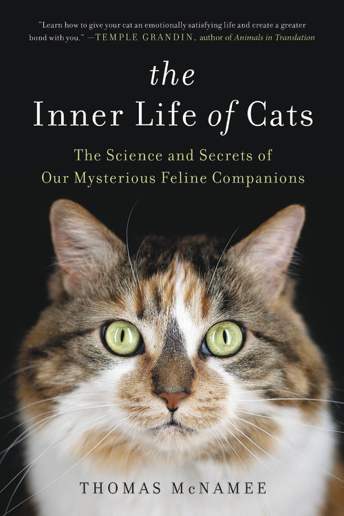 The Inner Life of Cats by Thomas McNamee | Hachette Books